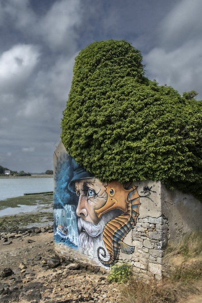 Country Art